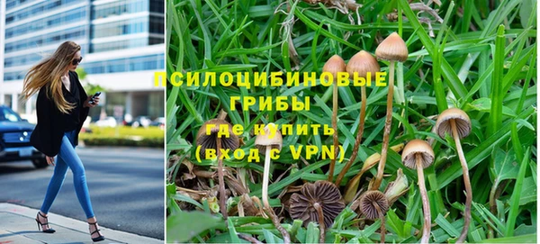 прущие крисы Алексин