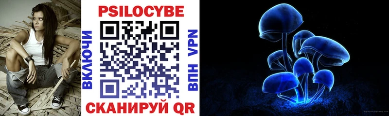 Псилоцибиновые грибы Psilocybe  Балашов 